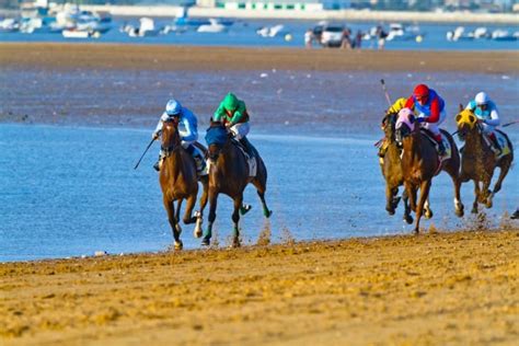 Virtual Horse Racing Tips & Strategy .